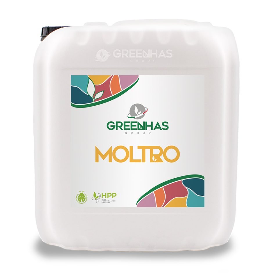 MOLTRO