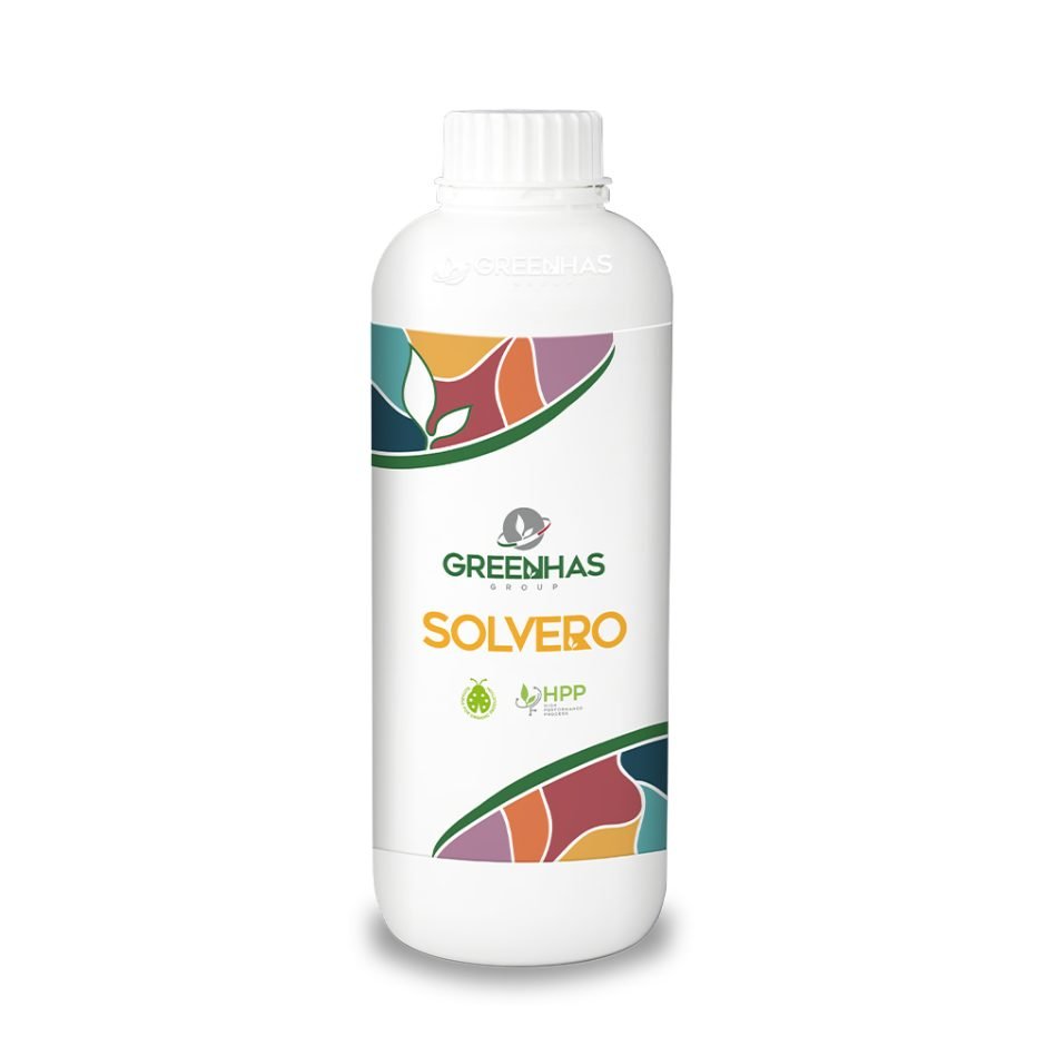 SOLVERO SOLVERO