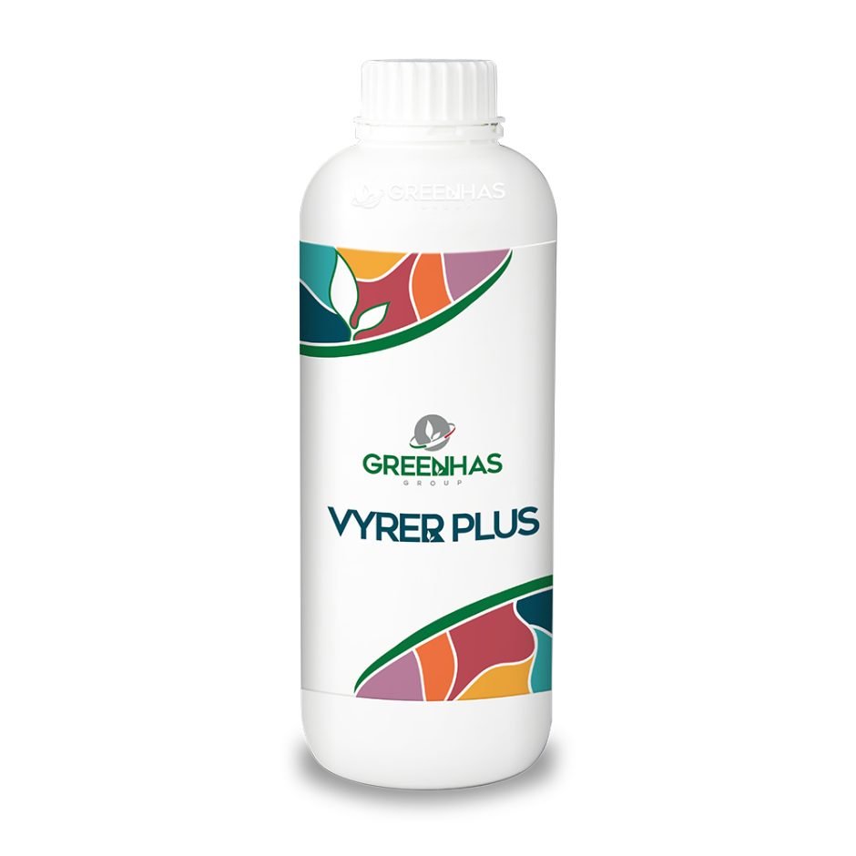 VYRER PLUS